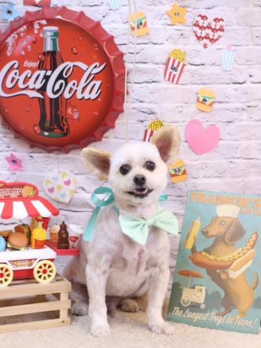 20230917ポンタくん